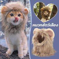 【paga】พร้อมส่ง หมวกแมว หมวกสิงโต หมวกสัตว์เลี้ยง หัวสิงโต หมวกหมา Lion Cat