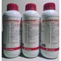 ( Pro+++ ) คุ้มค่า อะควาโช้ค อะมิโน(Aquachok Amino) 1ลิตร ราคาดี อาหาร นก อาหารนกหัวจุก อาหารนกแก้ว อาหารหงส์หยก