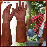 UMMEAX เครื่องหนังแท้ ถุงมือทำสวนสำหรับเด็ก หลอดยาวสำหรับหลอด กาแฟและกาแฟ ถุงมือตัดแต่งกิ่ง เครื่องมือเครื่องมือช่าง ที่ป้องกันแขน ถุงมือทำสวนสำหรับทำสวน สวนในสวน