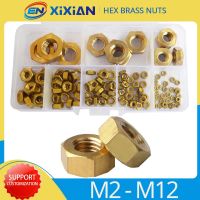 M2 M3 M4 M5 M6 M8 M10 M12 M14 Brass Hex Nuts Metal Metric Threaded Hexagonal Copper Nut for Screw Bolt Set Assortment Kit