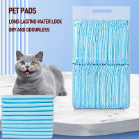 204050100PC Super Absorbent s Diaper Dog Training Pee Pads Nappy Mat for Cats Dog Diapers Quick-dry Surface Mat