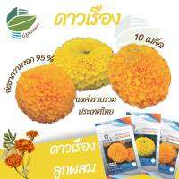 เมล็ดพันธุ์ดอกดาวเรือง (Marigold) เมล็ด ดาวเรือง จำนวน 10 เมล็ด ดาวเรืองลูกผสม มี 3 สายพันธุ์