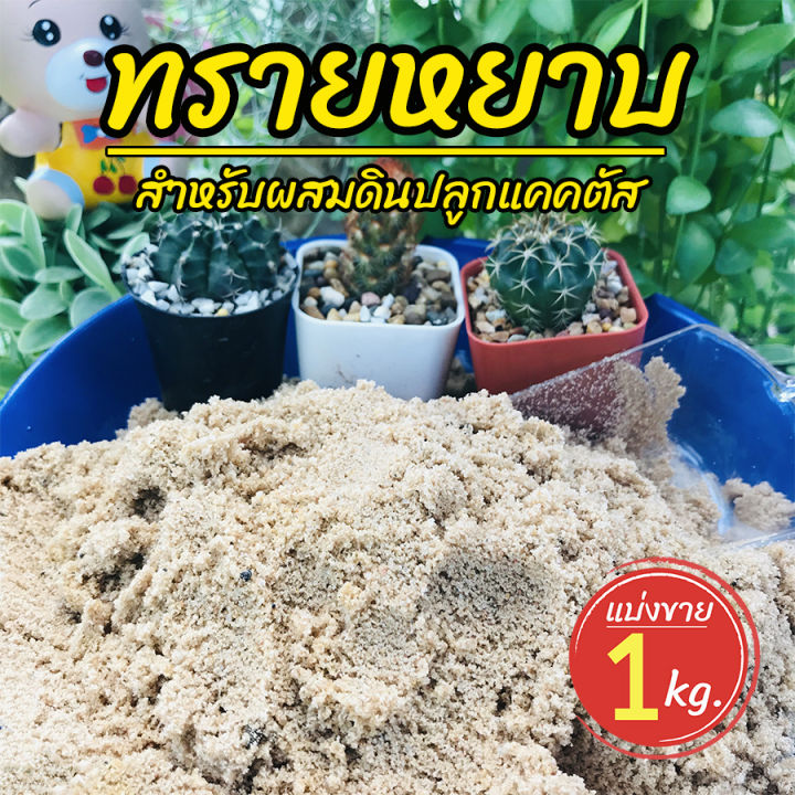 ทราย-ทรายหยาบ-สำหรับผสมดินปลูกแคคตัส-หรือโรยประคอง-แบ่งขาย-1-กิโล-homes