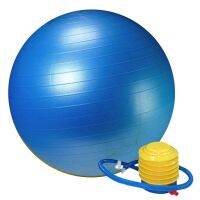 King Lion ลูกบอลโยคะ GYM BALLขนาด 65cm (สีน้ำเงิน)