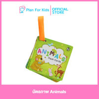 Plan for kids บัตรภาพ Animals #Flash Cards แฟลชการ์ด