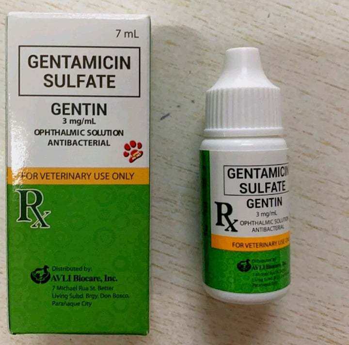 Gentin Eye Drops for Dogs and Cats Gentamicin Sulfate (Antibacterial