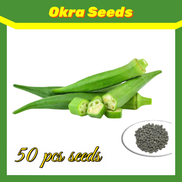 50seeds/pack Okra Seeds Vegetable seeds Easy to plant and survive