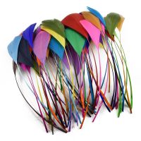 20pcs/lot Colorful Feather Decoration 12-18cm Mint Geese Feathers Crafts Catcher Handicraft Accessories Plumes