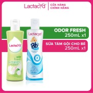 Bộ Dung Dịch Vệ Sinh Phụ nữ Lactacyd Odor Fresh Ngăn Mùi 24H 250ml + Sữa