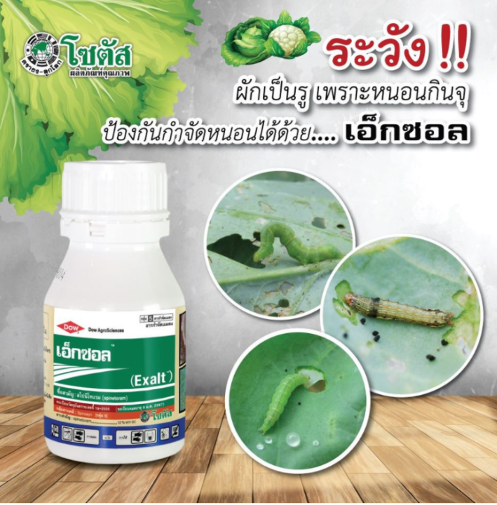 เอ็กซอล-แบบขวด-250ml-สไปนีโทแรม-สารกำจัดแมลง-กำจัดเพลี้ยไฟ-กำจัดหนอน-หนอนกระทู้ลายจุดข้าวโพด-หนอนเจาะ-หนอนใยผัก-หนอนคืบ