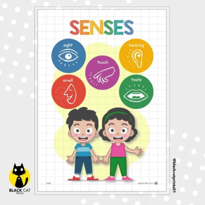 5 Senses Posters / Senses Chart for Children / Colorful Posters ...