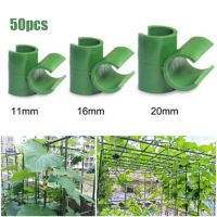 50Pcs Plant Support Trellis Connector Fixed Cross Clip Stake Clips For Plant Grafting Garden Frame Rod Connector 11Mm16Mm20Mm