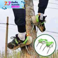 Replica shop อุปกรณ์ปีนต้นไม้  ปีนต้นไม้ Tree Climbing ที่ปีนต้นไม้  รุ่น JC-1106