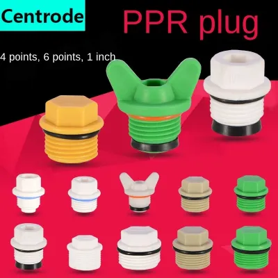 Pipe fittings1/2IN PPR wire plug with seal ring free of raw material with outer wire plug outer dental pipe plug ppr water 10Pcs