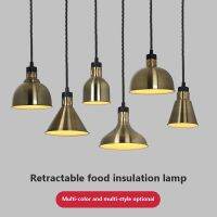 【YD】 Lamp Electric heat Food heating or holding Pendant adjustable kitchen fixtures Restaurant hanging lights 250W