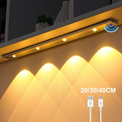 30/40/60CM Ultra thin LED Lights Cabinet Lighting PIR Motion Sensor USB Rechargeable Wireless Night lights Cabinet Kitchen lamp