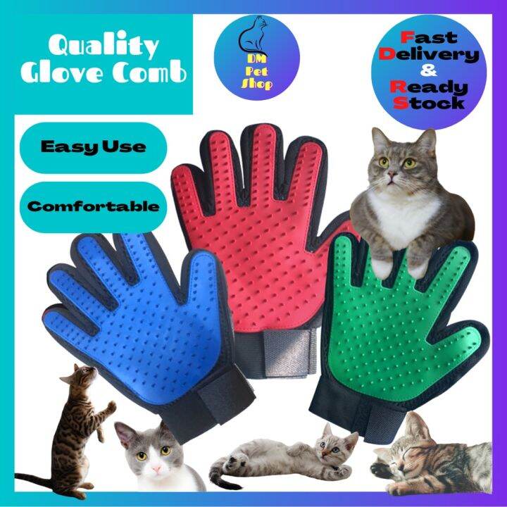 Cat cheap accessories lazada