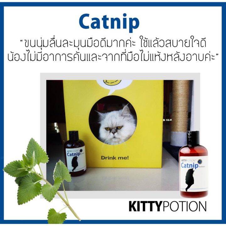 organic-pavilion-kitty-potion-catnip-shampoo-แชมพูอาบน้ำแมว-แชมพูสัตว์เลี้ยงออร์แกนิค-250ml