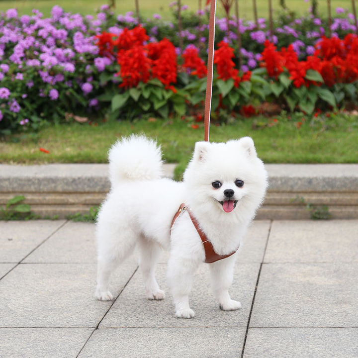 dog-harness-and-vest-collar-pu-durable-chest-harness-for-summer-outing-suitable-for-small-medium-dogs-pomeranian-leash-set