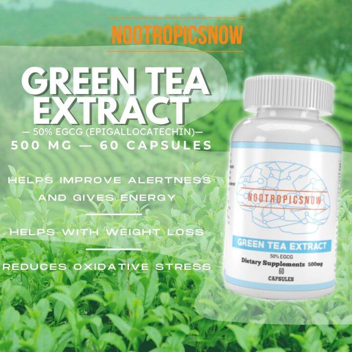 Nootropicsnowph Store Green Tea Extract 500 mg 50 EGCG (60 capsules