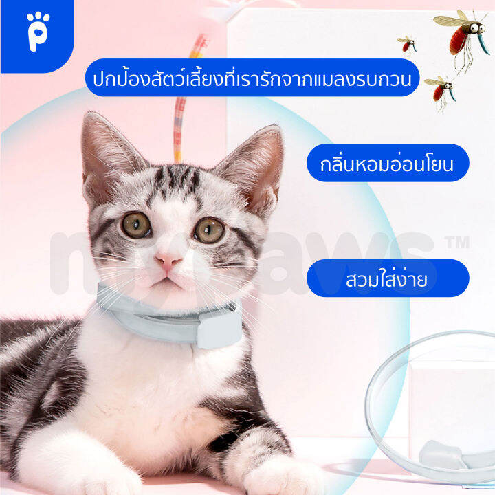 my-paws-ปลอกคอกำจัดเห็บหมัด-c-ปลอกคอแมว-ปลอกคอสุนัข-ป้องกันได้ยาวนานถึง-60-วัน