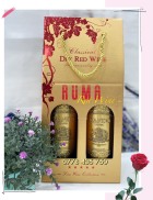 Quà tặng hộp giấy 2 chai vang chile Nando Reserva