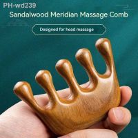 Meridian Massage Comb Five-Tooth Handle Wooden Point Acupuncture Head Comb Wide-Tooth Sandalwood Comb Massager Head