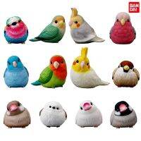 Genuine Gashapon Toys Cockatiel Sparrow Pacific Parrot Lovebird Rabbit Poodle Hamster Fat Cute Action Figure Toys