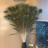 ⊙ feathers and real feathers home decorations large living room peacock vases