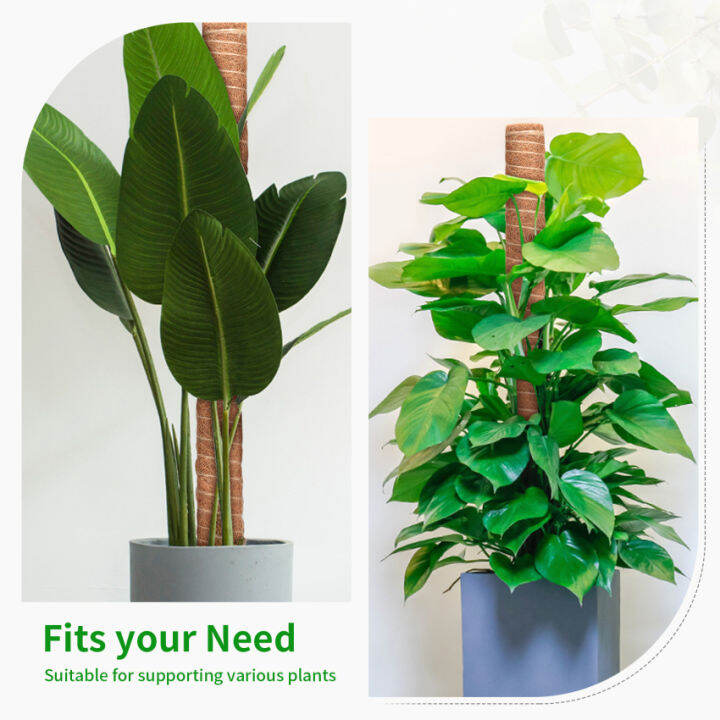 เสามอส4ชิ้น16นิ้ว-41ซม-เสามอสสำหรับ-monstera-และโรงงานชีส-แท่งมอสสำหรับรองรับพืชในร่ม-ซิปผูก10ต้น-ชุดเครื่องมือทำสวนขนาดเล็ก-grow-ต้นไม้ของคุณขึ้นไป