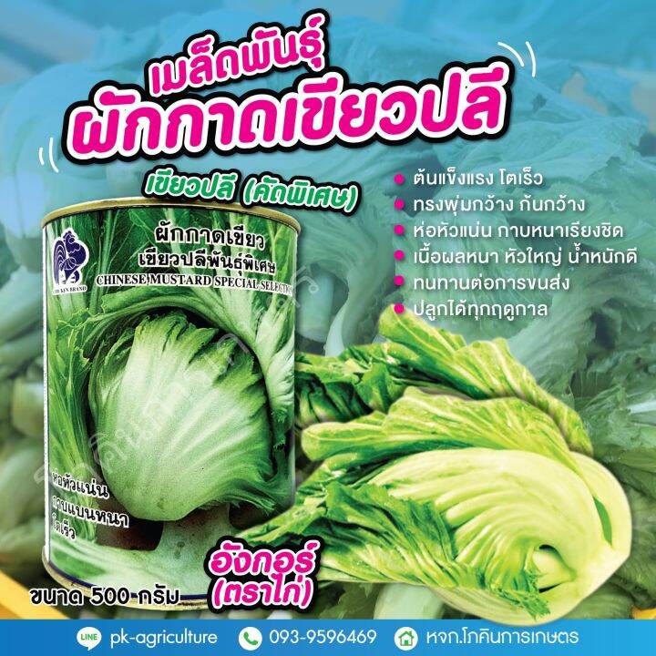 เมล็ดพันธุ์ผักกาดเขียวปลีอังกอร์-ตราไก่-ขนาด-500-กรัม