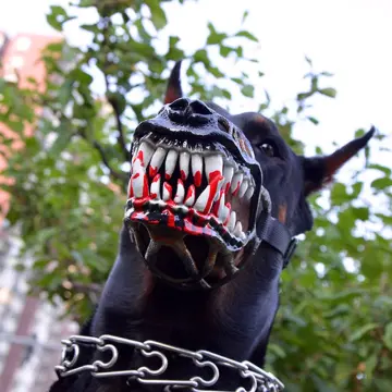 Buy Zombie Dog Costume online