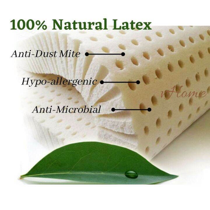 shop-malaysia-mylatex-contour-pillow-100-natural-latex