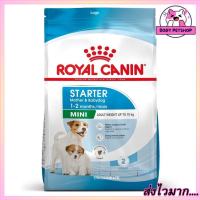 Royal Canin Mini Starter Mother &amp; Baby Dog Food อาหารแม่และลูกสุนัขหย่านม-2 เดือน 1 กก.