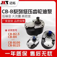 Hydraulic Lubrication Gear Oil Pump CB-B6 B10 B4 B2.5 Sawing Machine