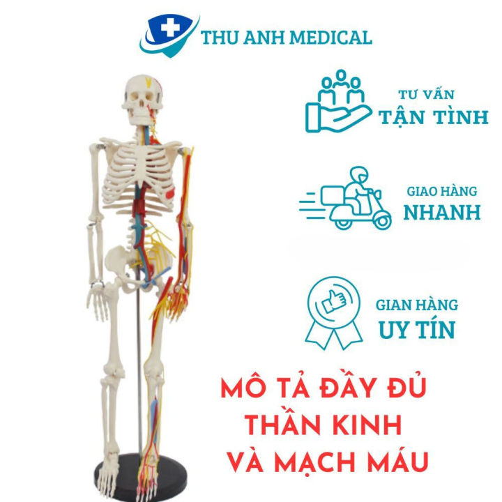 Thuật toán tìm đường đi ngắn nhất có ràng buộc CSPF trong MPLS 