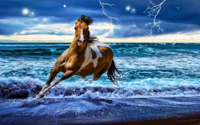 Hot Running Horse In Surf Beach Art โปสเตอร์ผ้าไหมพิมพ์24x36inch