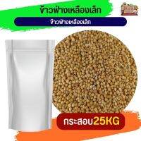 Yellow Sorghum ฟ่างเหลืองเม็ดเล็ก  อาหารนกและสัตว์ฟันแทะ (กระสอบ 25KG)