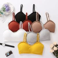 ชุดชั้นในผู้หญิง เสื้อในผู้หญิง สินค้าพร้อมส่งจากไทยAngle Bra  (N156) บราสายเดี่ยวแบบสวม ผ้าร่อง แฟชั่นรุ่นใหม่ เก็บเนื้อ อกยกชิด ทรงสวย