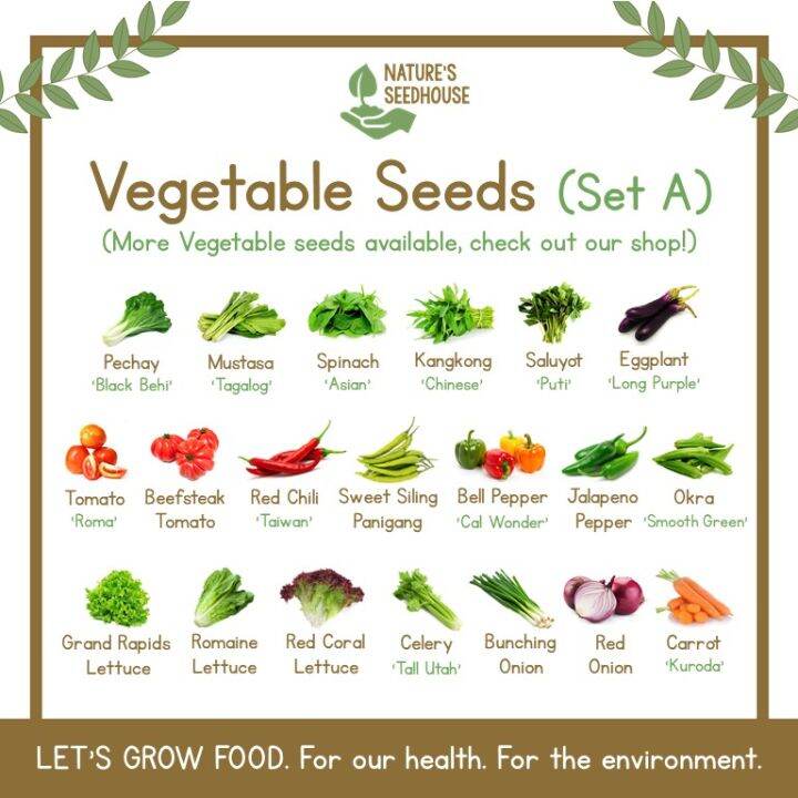 Vegetable Seeds Collection Set A Top-Quality 50 seeds (not plants ...