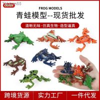 ? ของขวัญ Simulation mini insects small frog animal model of a tree poison dart toad childrens toys