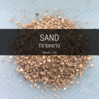 ทรายหยาบ (SAND) 1 Kg