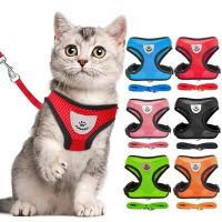 【CW】 Harness And Leash Set Adjustable Breathable Harnesses Small Medium Cats Dogs Outdoor Walking Chest