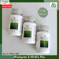 Wheatgrass &amp; Alfalfa Plus ? ผลิตภัณฑ์อาหารเสริม ผักอัดเม็ดแอมสตรอง เม็ดสีดำ ช่วยในการบำรุงสายตา เสริมวิตามินให้ร่างกาย ( 3 กระปุก )