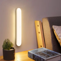 LED Night Light Cabinet Light 260MM LED Motion Sensor Light Cupboard Wardrobe Lamp Closet Stairs Kitchen 1000mah Battery