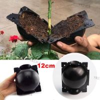 12cm High Pressure Plant Rooting Ball Grafting Growing Box Breeding Case Container Nursery Box Garden Root YB23TH