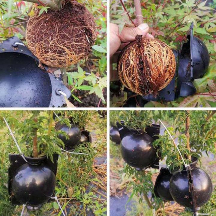 qkkqla-5pcs-5cm-plant-rooting-device-plastic-high-pressure-grafting-ball-boxes-growing-breeding-gardening-supplies-garden-tool