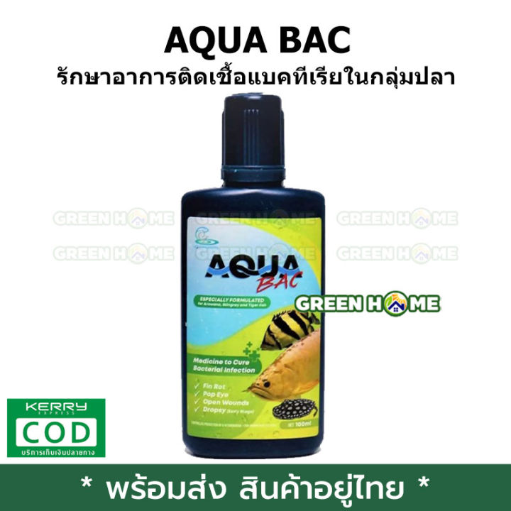 พร้อมส่ง-ของอยู่ไทย-รักษาอาการติดเชื้อแบคทีเรียในกลุ่มปลา-มังกร-เสือตอ-และกระเบน-aqua-bac-เก็บเงินปลายทาง