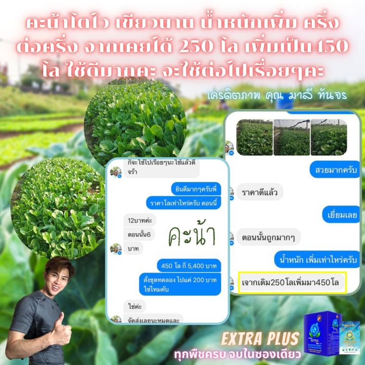 extra-plus-เเอ็กตร้าพลัส-ฮอร์โมนพืช-อาหารเสริมพืช-เร่งผลผลิต-เร่งใบ-เร่งดอก-โตไว-แข็งแรง-ปลอดภัยไร้สารพิษ-6-ซอง-เล็ก