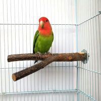 ?Homepet Pet Parrot Raw Wood Fork Stand Rack Toy Branch Perches For Bird Hamster Cage